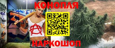 гидропоника Брянск