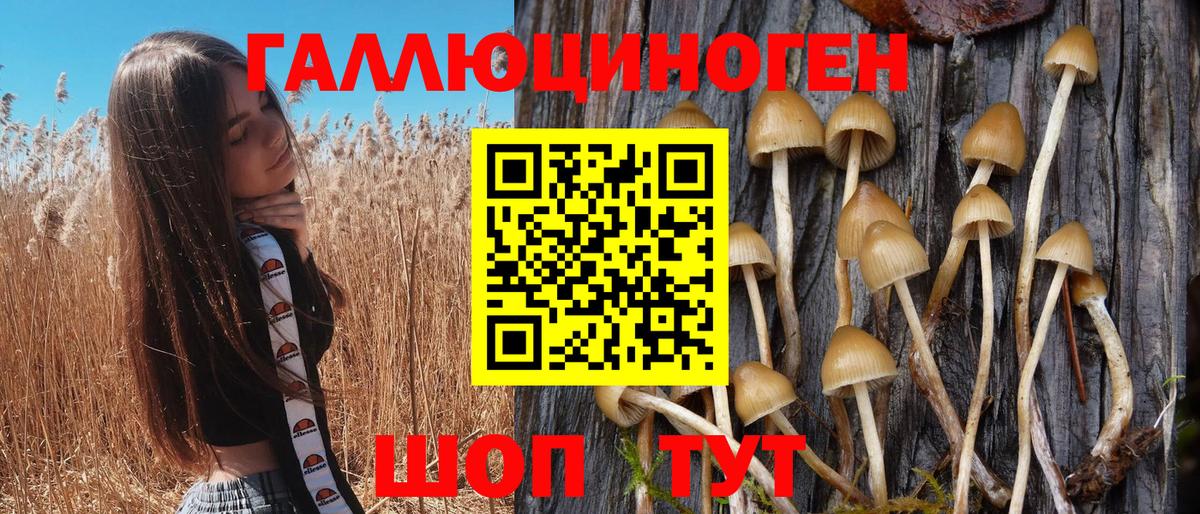 Псилоцибиновые грибы Magic Shrooms Волгоград